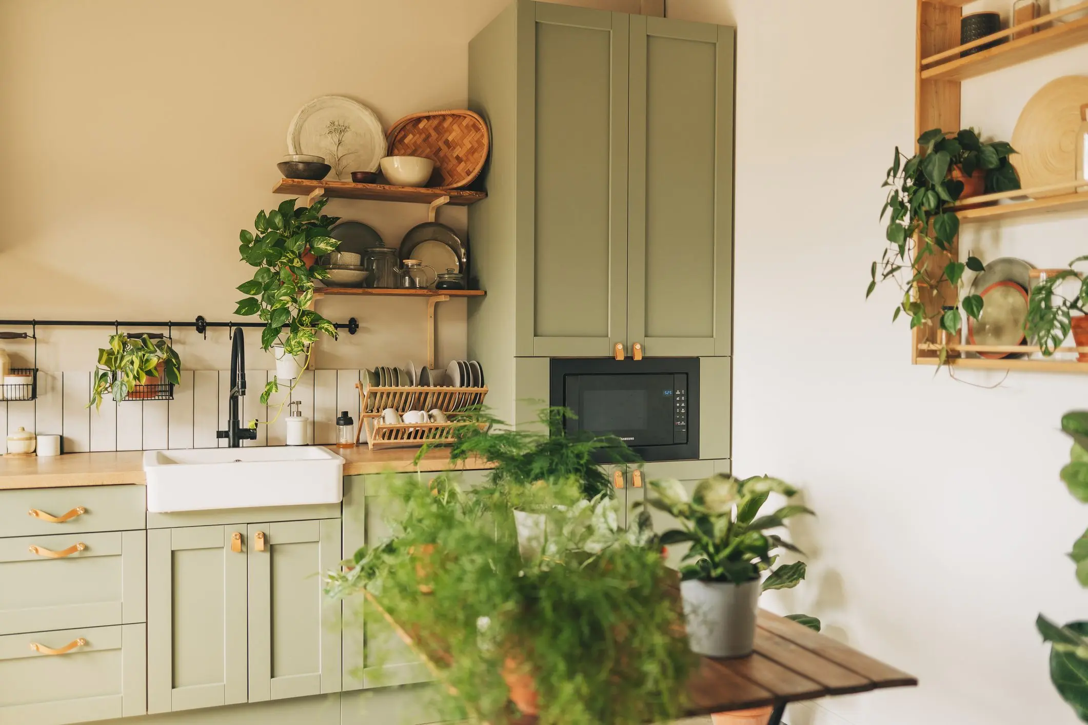 plantas en la cocina ideas - Qué plantas son buenas para tener dentro de la casa